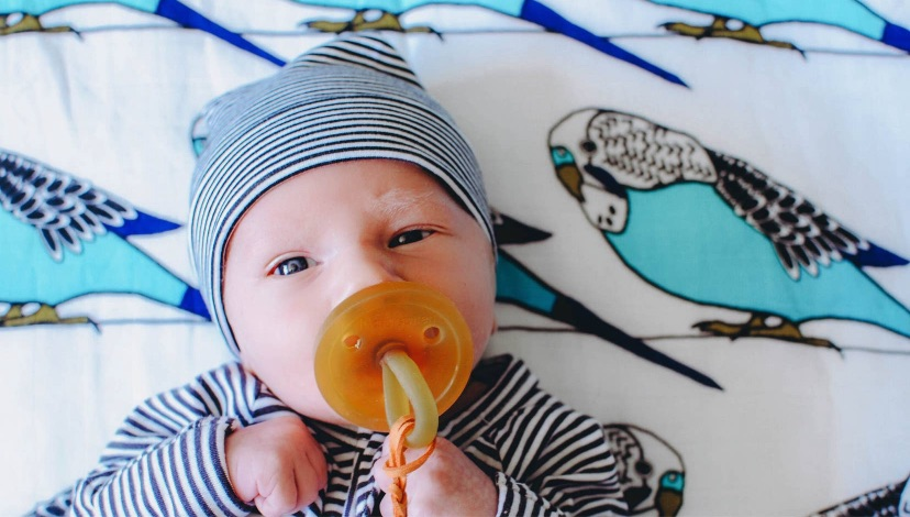 Birds of a Feather Swaddle Blanket